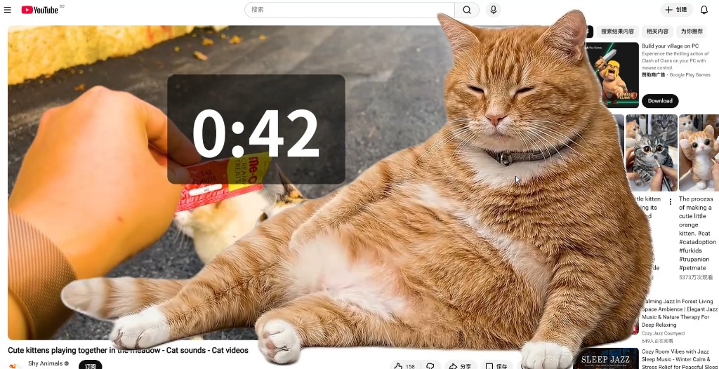 Cat Gatekeeper 文章配图